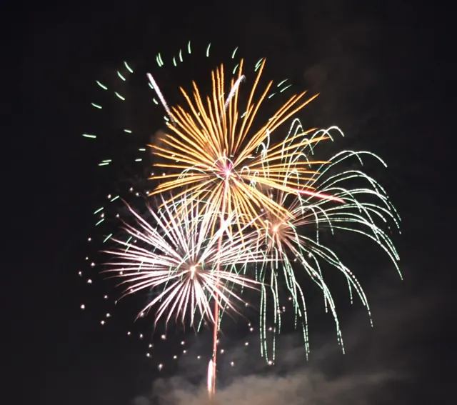 Gold, white and green fireworks spreading across the night sky.