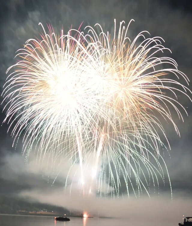 A brilliant white fireworks burst above Lake Arbutus.